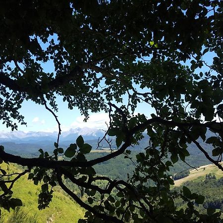 Xandua Etxea - Selva De Irati - Villa Izalzu ภายนอก รูปภาพ