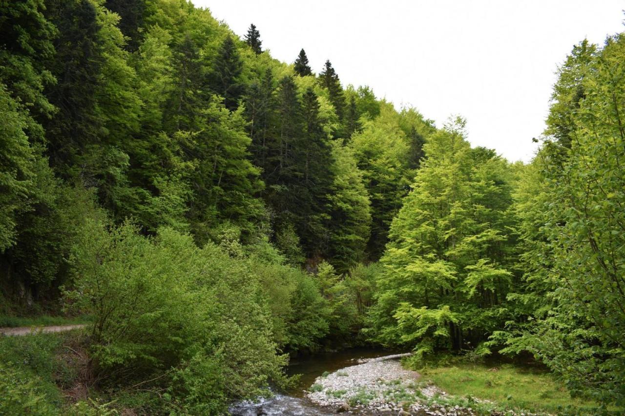 Xandua Etxea - Selva De Irati - Villa Izalzu ภายนอก รูปภาพ