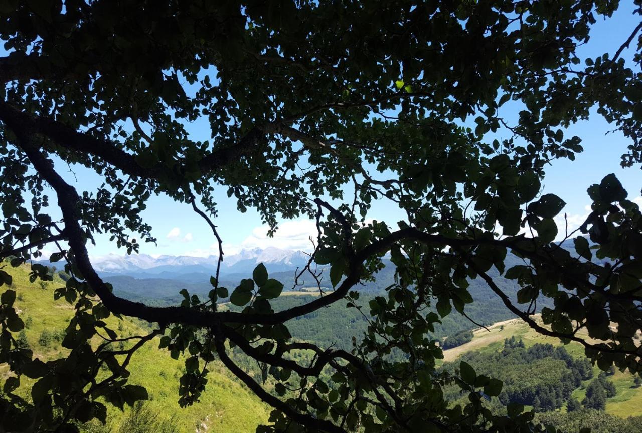 Xandua Etxea - Selva De Irati - Villa Izalzu ภายนอก รูปภาพ